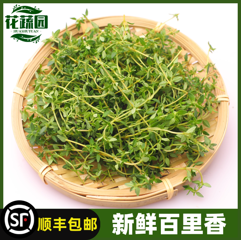 摆盘装饰现摘百里调料配料