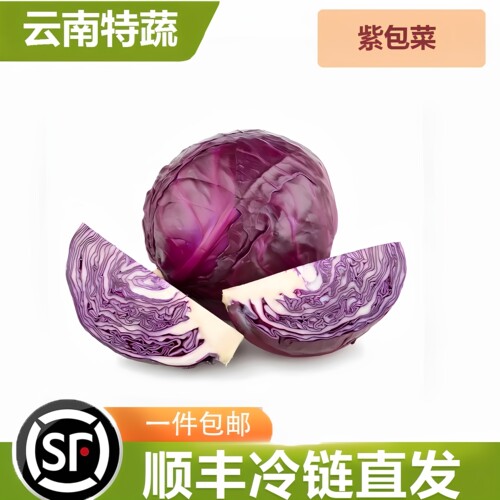 新鲜生吃西餐蔬菜紫包菜