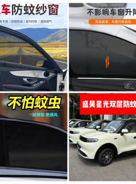 盛昊星光电动四轮车车门窗防蚊网双层防蚊纱窗防柳絮窗帘遮阳网