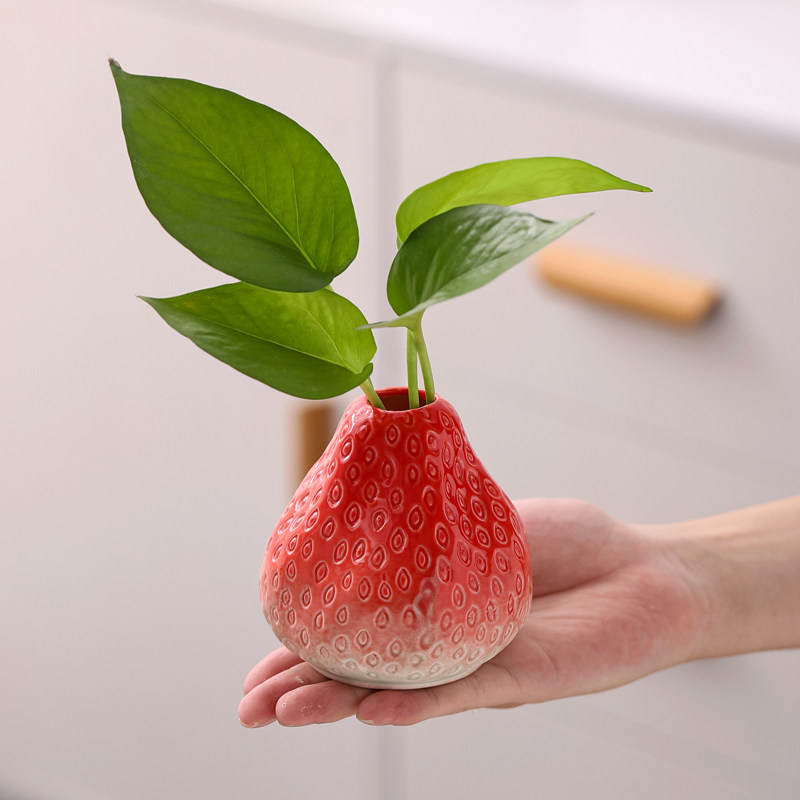 【莓烦恼】创意草莓陶瓷水培花瓶桌面绿萝插花瓶可爱家居装饰摆件,家居饰品,花瓶,淘宝优惠券,粉丝福利购,淘宝优惠卷