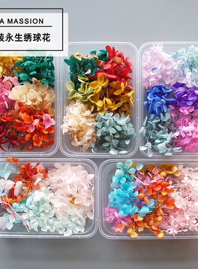 永生绣球花DIY手工沙龙装饰天然风干渐变花材干花真花材料包5g装