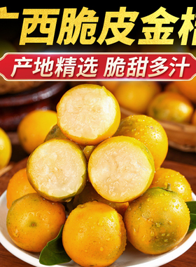 脆皮金桔鲜果水果新鲜大果正宗广西小金桔纯甜蜜金柑融安特产橘子