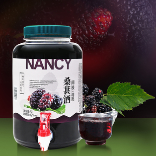 厂家直销南枝桑葚酒5L大桶12%vol低度果酒女士甜酒