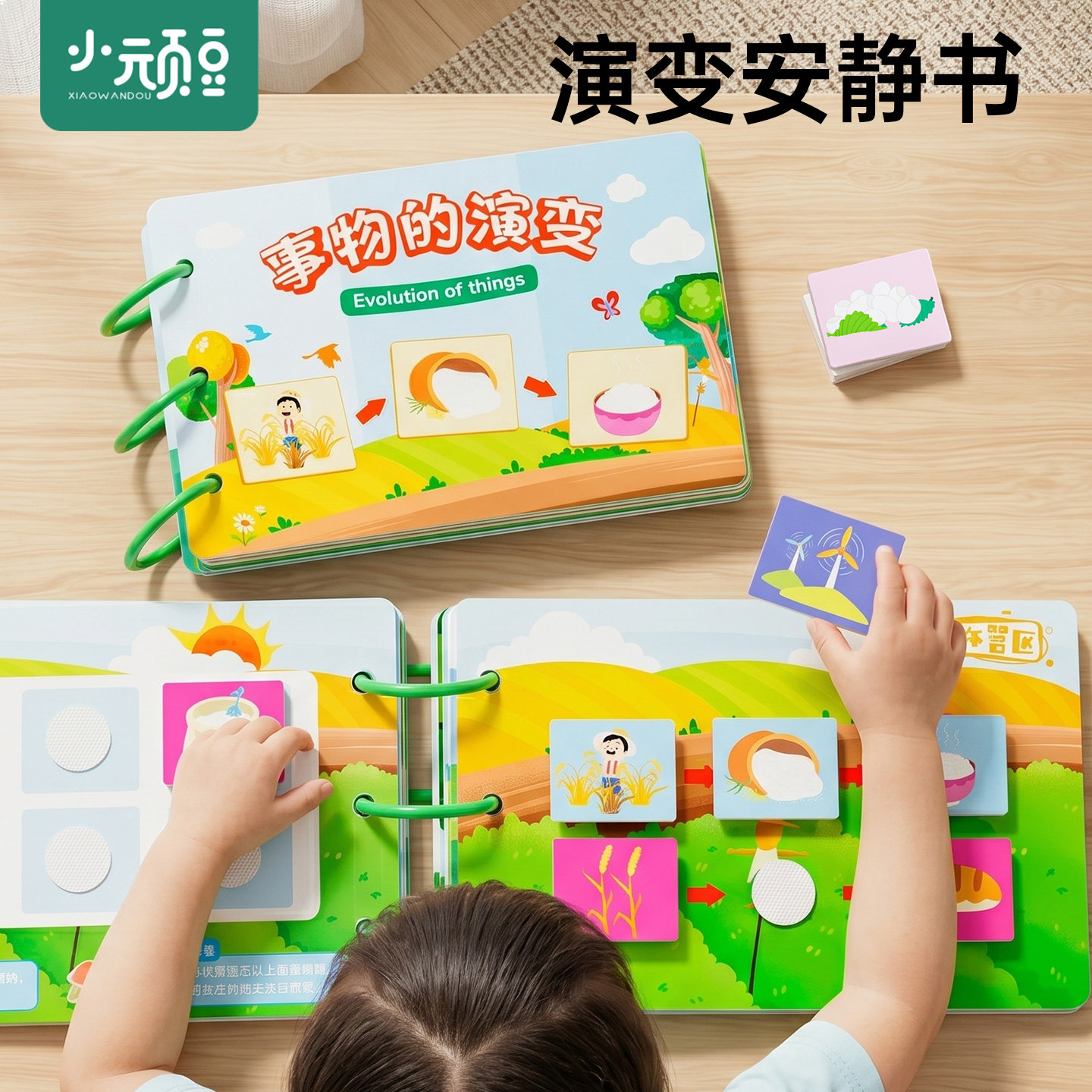 成长周期教育认知蒙氏早教卡片图片