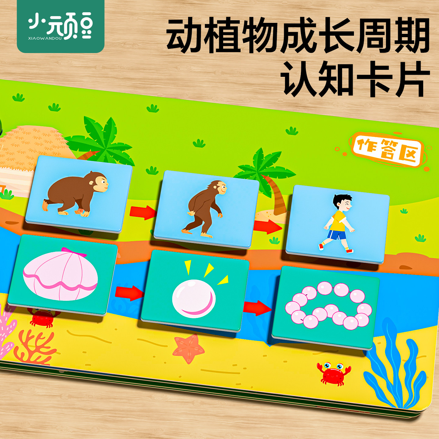 宝宝启蒙认知卡片早教认识动物水果蔬菜挂图儿童蒙氏教育益智玩具