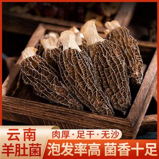 云南羊肚菌干货大号煲汤炒菜食材头茬肉厚营养丰富炖鸡排骨汤佳品