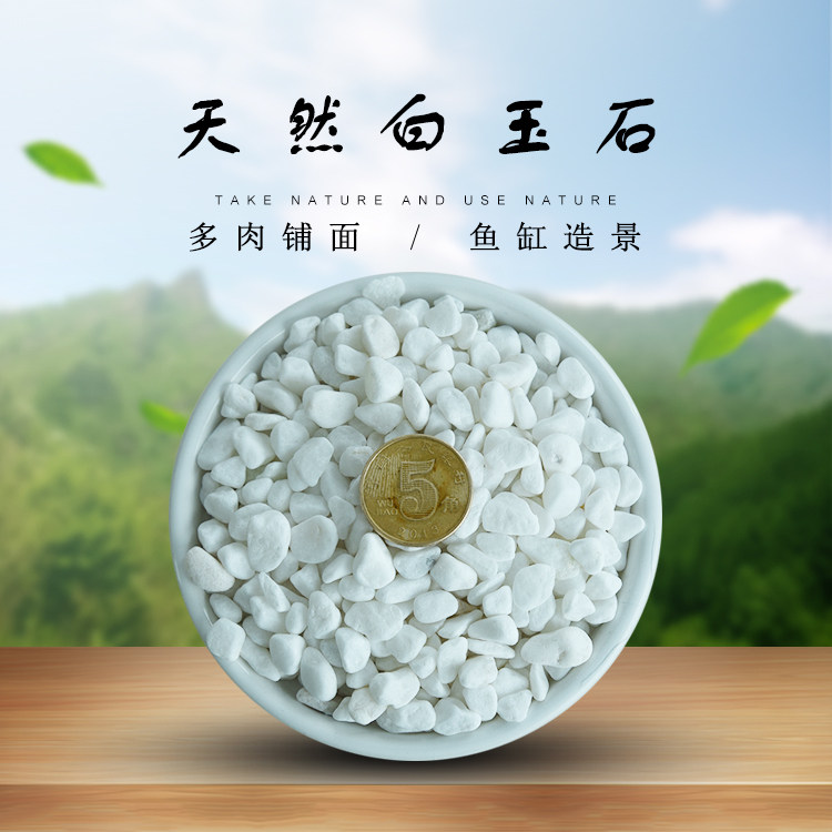 天然白石子小白玉石五彩石鹅卵石雨花石多肉石头铺面水培鱼缸铺院