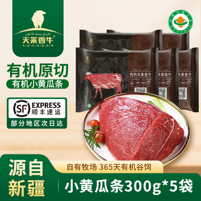 天莱香牛新疆小黄瓜条牛肉儿童