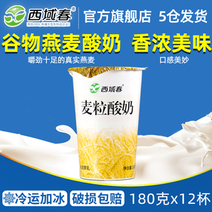 新疆西域春麦粒酸奶180克 12杯整箱营养代餐燕麦谷物酸奶早餐搭档