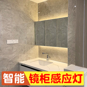 智能卫生间镜柜人体感应灯带免打孔专用浴室镜前化妆补光氛围灯条