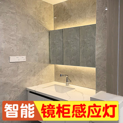 智能卫生间镜柜人体感应灯带免打孔专用浴室镜前化妆补光氛围灯条