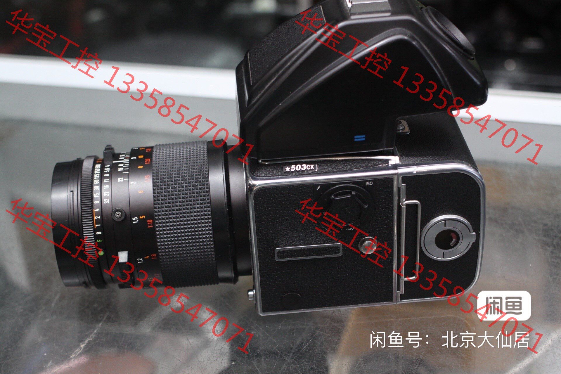 议价 96新哈苏503cx套机星版