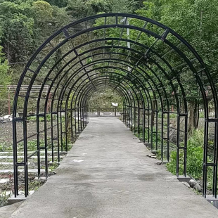 铁艺拱门架子爬藤架子半圆拱形门活动走廊架子鲜花插花支架定做