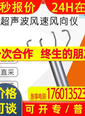 工厂直采 德国 Thies CLIMA 超声波风速风向仪2D 4.3821.01.000