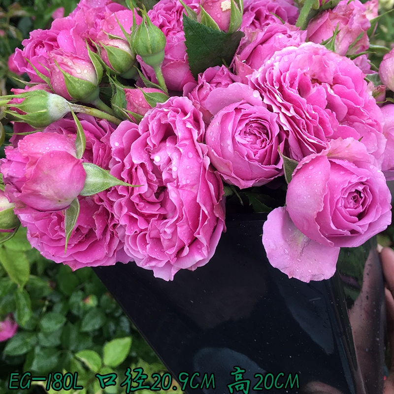 EG-180L 国产化方盆日本进口控根盆国产化棒棒糖用盆限区满68包邮