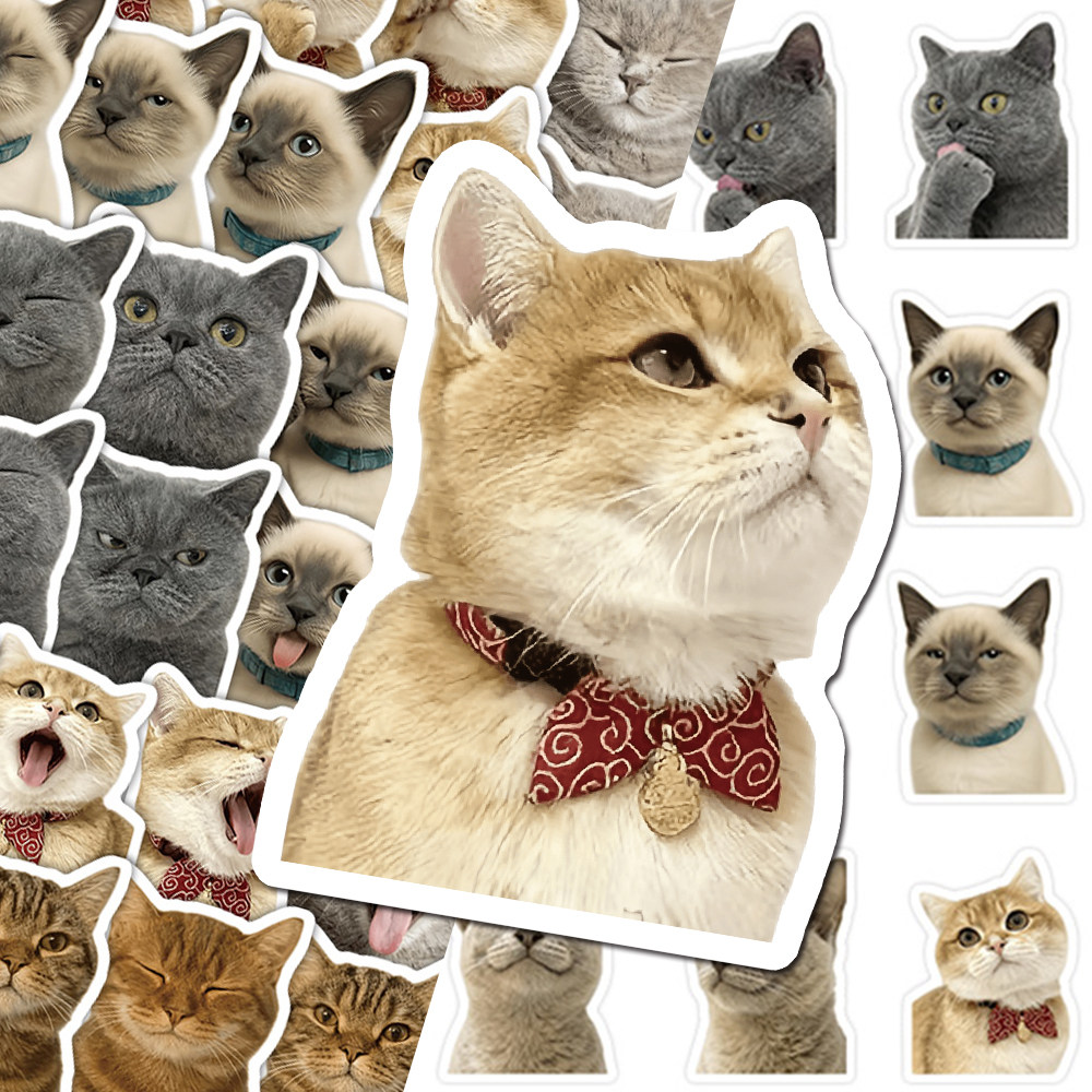 108张猫咪大头表情包贴纸可爱搞怪趣味小表情diy桌面手机壳贴画