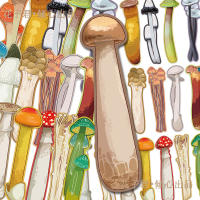 60 cartoon mushroom bookmarks in an Ins-style, personalized and creative, niche reading book, with page clips and paper bookmarks thumbnail 6