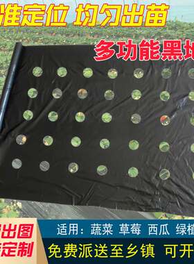 打孔黑色地膜保温保湿
