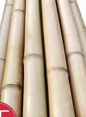 竹子装饰防腐定制篱笆毛竹楠竹室内吊顶隔断竹子杆搭架竹竿装饰