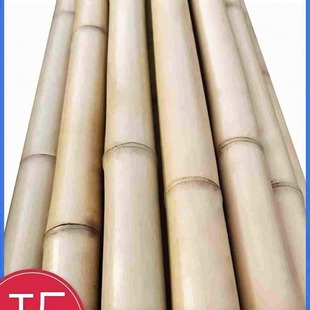 竹子装饰防腐定制篱笆毛竹楠竹室内吊顶隔断竹子杆搭架竹竿装饰