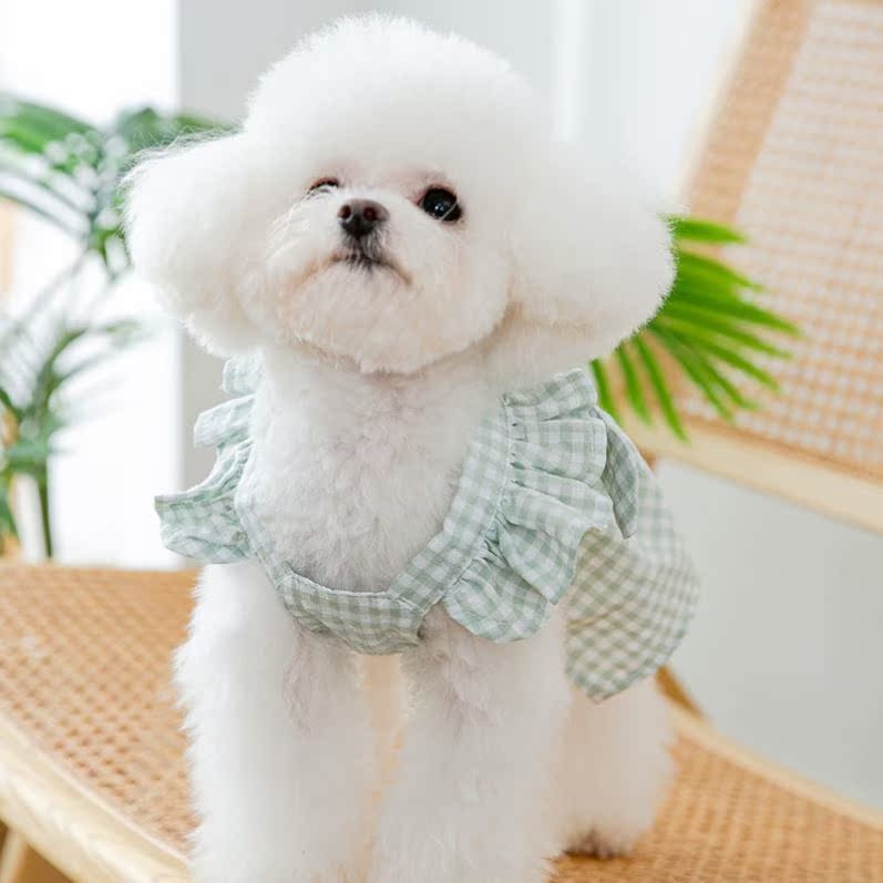 两个月比熊潮牌ins小型犬背心2斤狗狗衣服薄款2022年新款博美泰迪