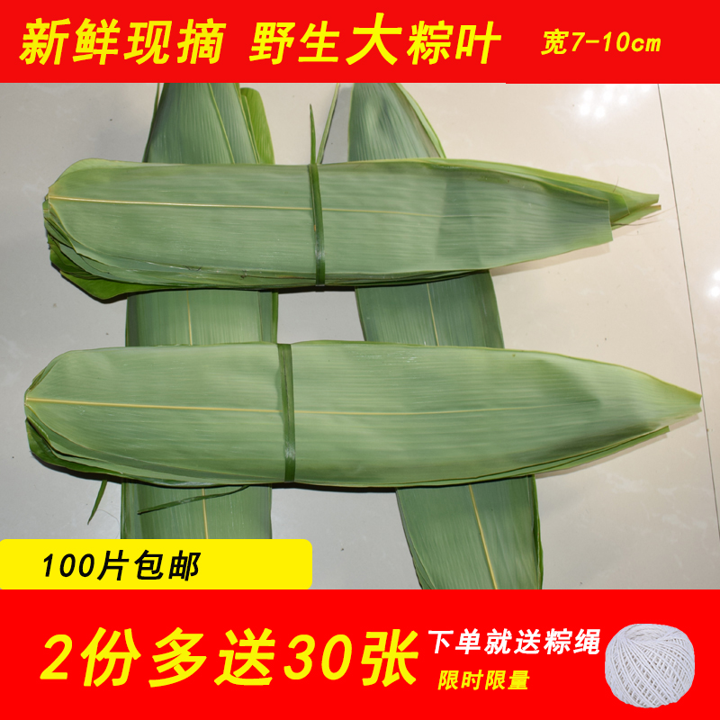 粽叶新鲜现摘大粽子叶箬叶纯天然野生干棕叶100张包邮竹叶送粽绳