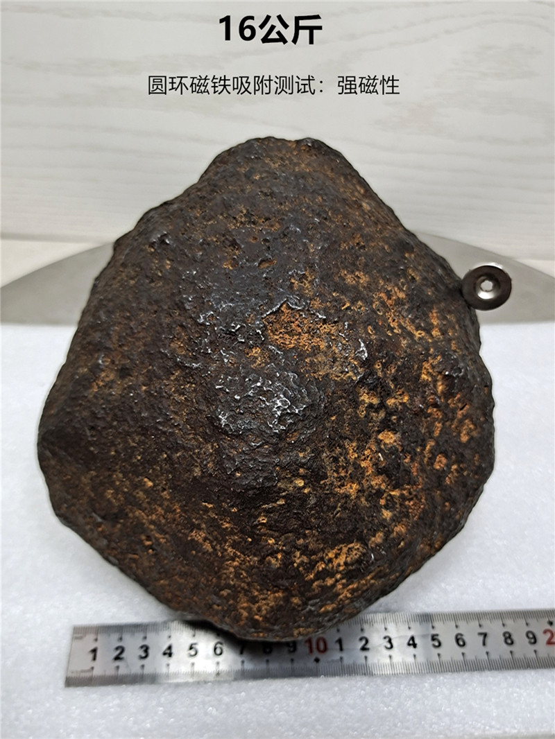 高铁陨石原石标本16公斤南非铁陨星火流星纪念观赏石收藏礼品摆件