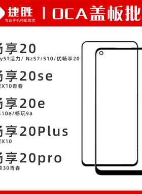 适用畅享 20 20se 20e 20plus pro 荣耀X10青春 NzoneS7 S10 盖板