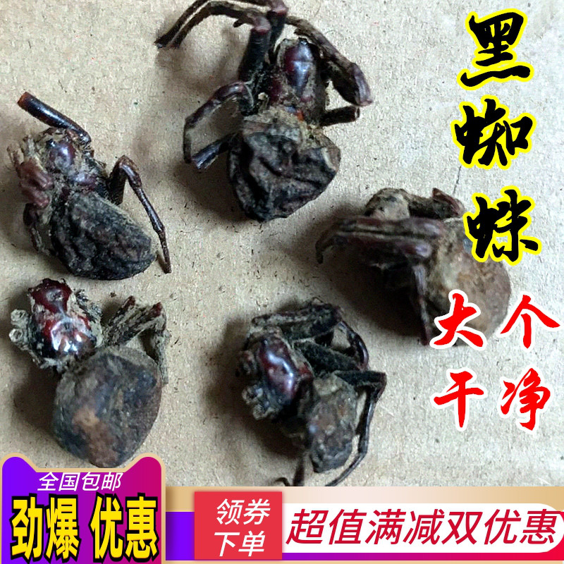 大蜘蛛口袋50克完整新货中药材