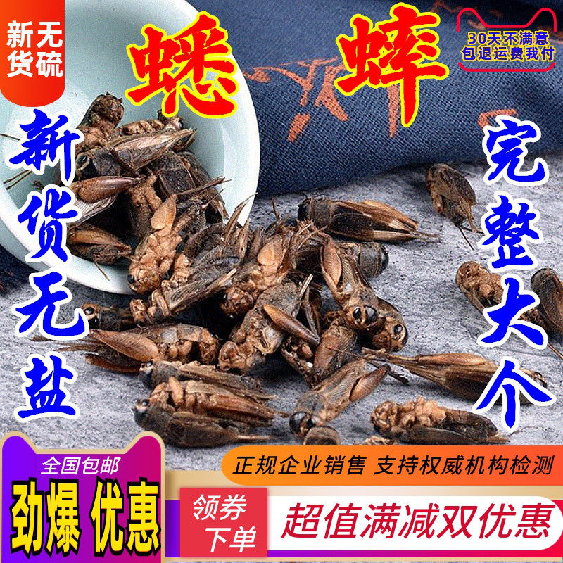蟋蟀干 500克 蛐蛐夜鸣虫将军虫秋虫将军干蟋蟀中药材另有蚂蚱干