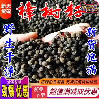 中药材 新货精选樟树子樟梨香 樟籽 樟木子天然 香樟子500克包邮