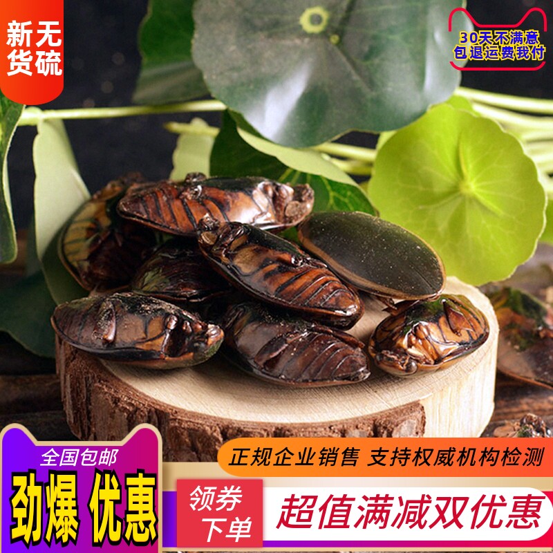 中药材 新货金边龙虱 龙虱 水鳖虫 射尿龟 100克包邮免费磨粉促销