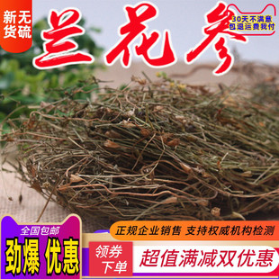 中药材兰花参新货 中药材兰花参 蓝花参 兰花参 寒草250克包邮