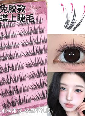 初遇季免胶水幻蝶亚裔婴儿弯假睫毛浓密自然放大双眼嫁接感眼睫毛