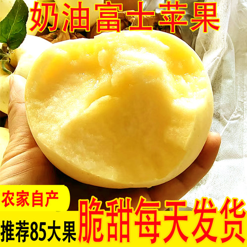 黄金奶油富士苹果5斤脆甜当季