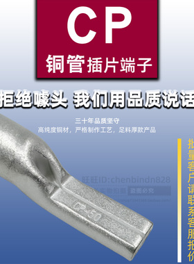 加厚铜插针CP10/16/25/35/50/70/95/120扁型端子 方形插片接线鼻