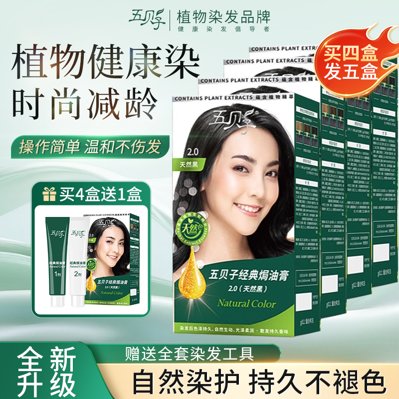 五贝子经典款焗油膏正品特惠装