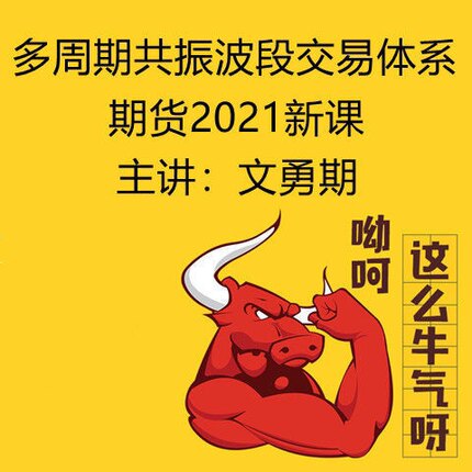 文勇期货视频课程2021新课 多周期共振波段交易体系