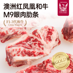 【澳洲老爸】红凤凰和牛M9眼肉牛肋条贴骨肉原切新鲜雪花牛肉烤肉