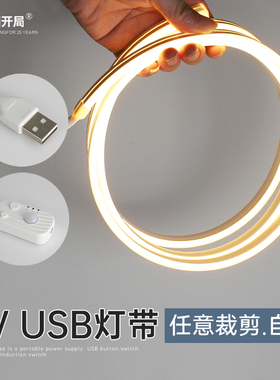 led感应灯带自粘5v背胶充电usb柔性硅胶电脑桌面RGB幻彩氛围灯条