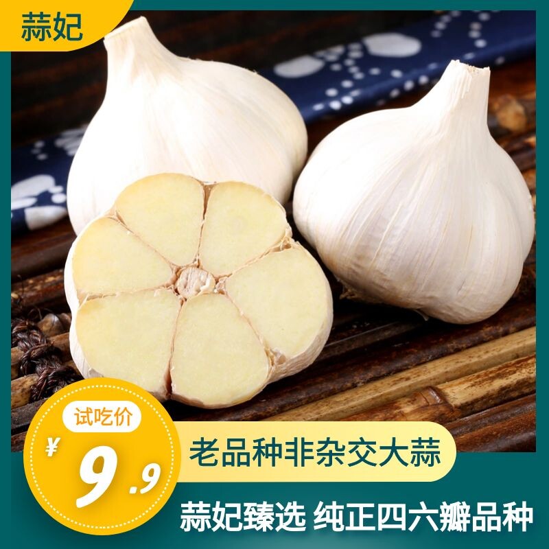 蒜妃苍山四六瓣大蒜老品种笨蒜兰陵大蒜头农家种植礼品盒装456瓣