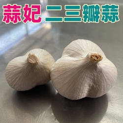 蒜妃二三瓣蒜兰陵县老品种笨蒜瓣大饱满23丫瓣苍山大蒜头大颗粒蒜