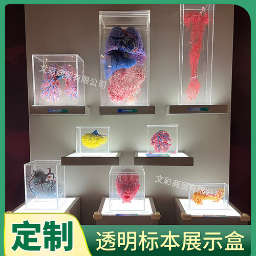 亚克力透明收纳盒器官样品展示盒