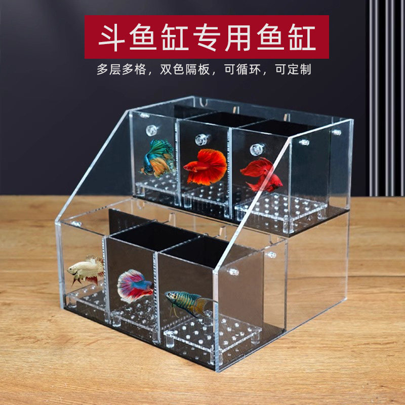 泰国斗鱼专用缸桌面小鱼缸图片