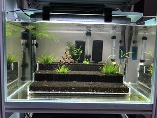 草缸梯田造景水晶虾鱼水草造景水草泥盒子观赏缸透明亚克力草虾缸