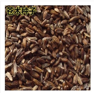 新采药材种子 金线莲种子 南 北苍术丹参党参柴胡桔梗板蓝根种子
