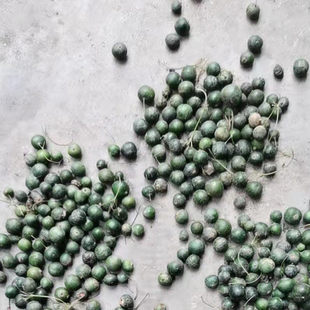 药材种带皮新鲜黄精 鸡头老虎姜 红花滇黄精 多花不倒苗