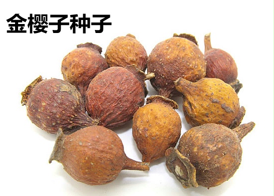 中药材种子金樱子种子文光果、刺槟榔果、木梨子、糖梨、缫丝花