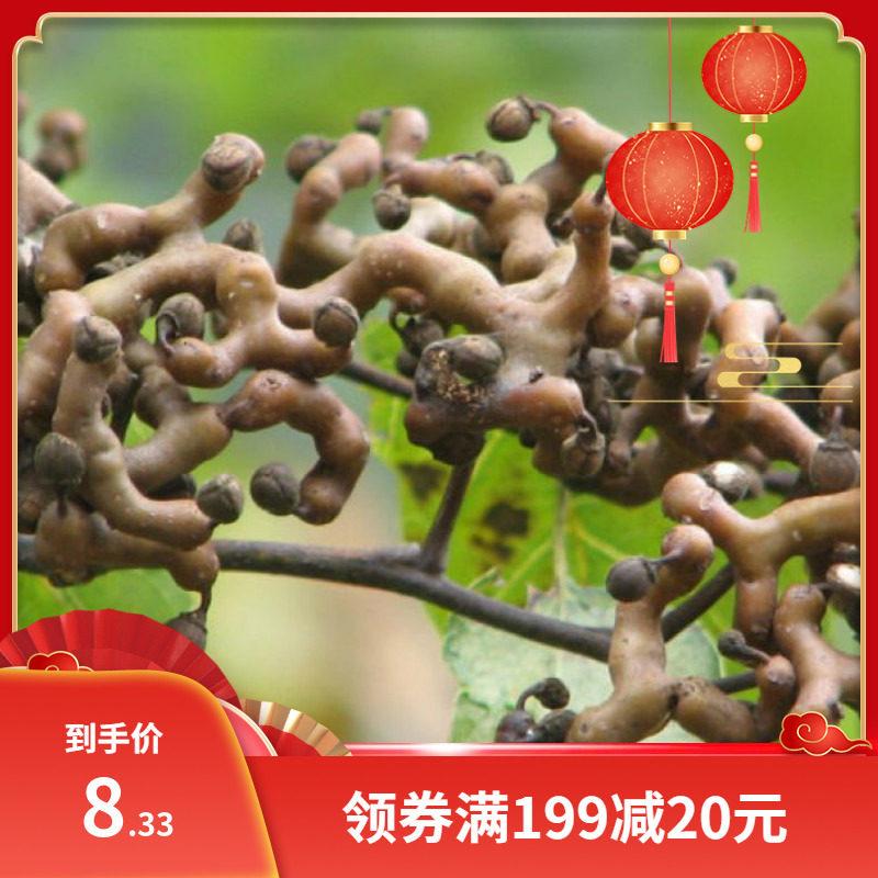 拐枣种子 枳椇种子 万子梨 梨枣种子 万寿果 枳椇子 野生果树种子