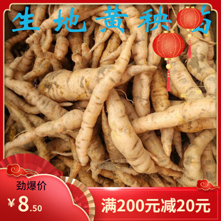 新采摘中药材种子 生地籽 生地黄种子生地黄种籽 生地黄种籽包邮